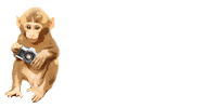 kokumi blog